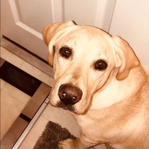 Meet your Posher, Haley